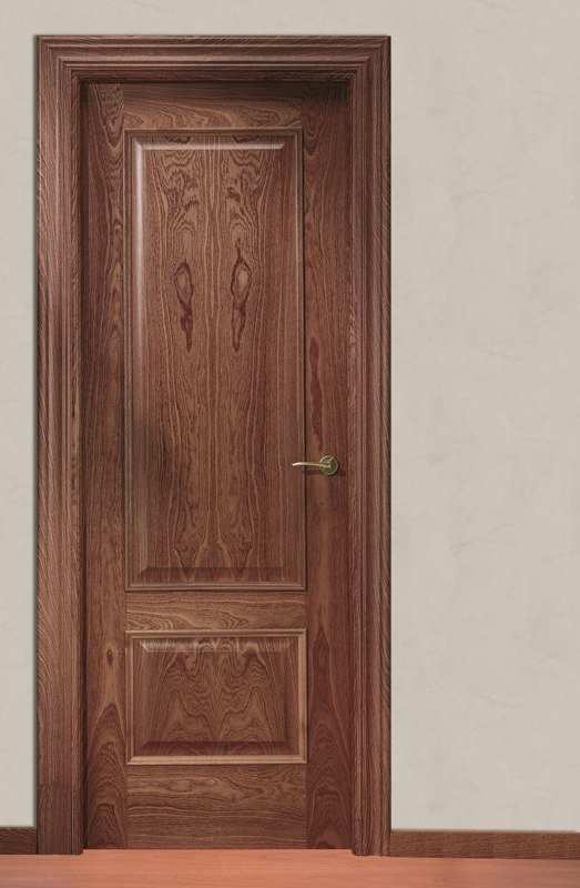imagen de una puerta